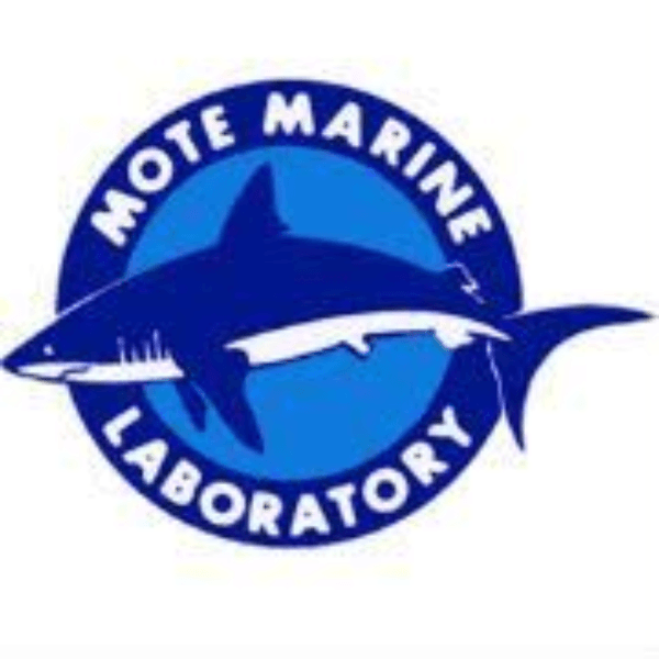Mote Marine Laboratory and Aquarium