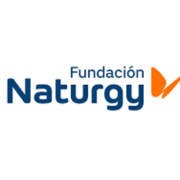 Naturgy Energy Group